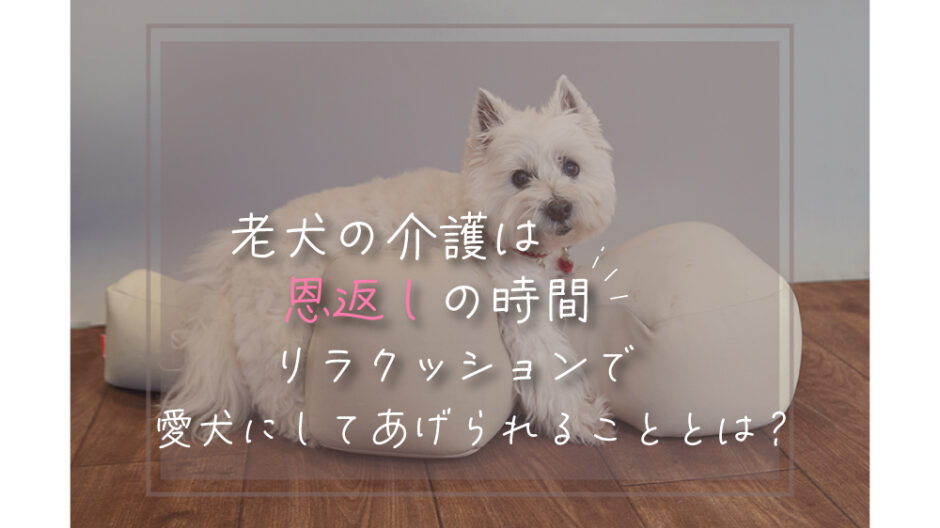 老犬介護リラクッション