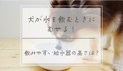 犬が水を飲む時にむせる‥給水器の最適な高さはどれくらい？