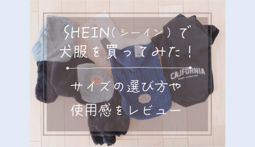 SHEIN(シーイン)で犬服を買ってみた！サイズの選び方や使用感をレビュー！