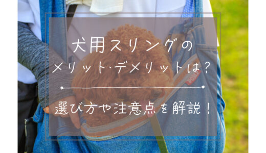 犬用スリングのメリットとデメリットは？選び方や注意点を解説！