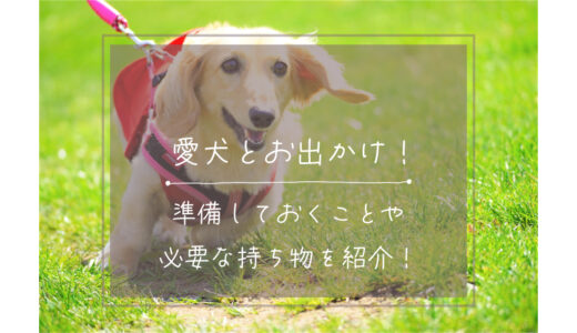 愛犬とお出かけ！準備しておくことや必要な持ち物を紹介