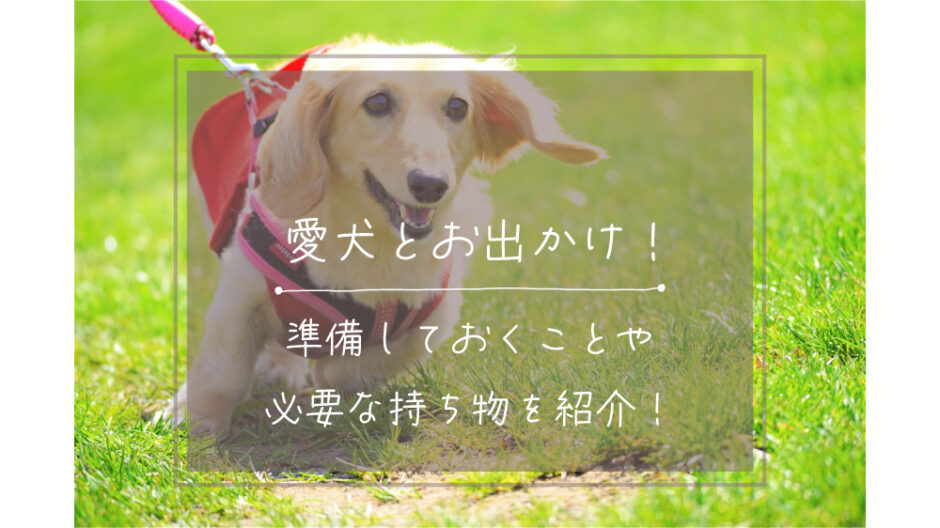 犬とお出かけ