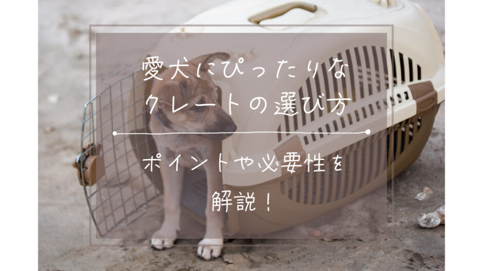 犬　クレートの選び方