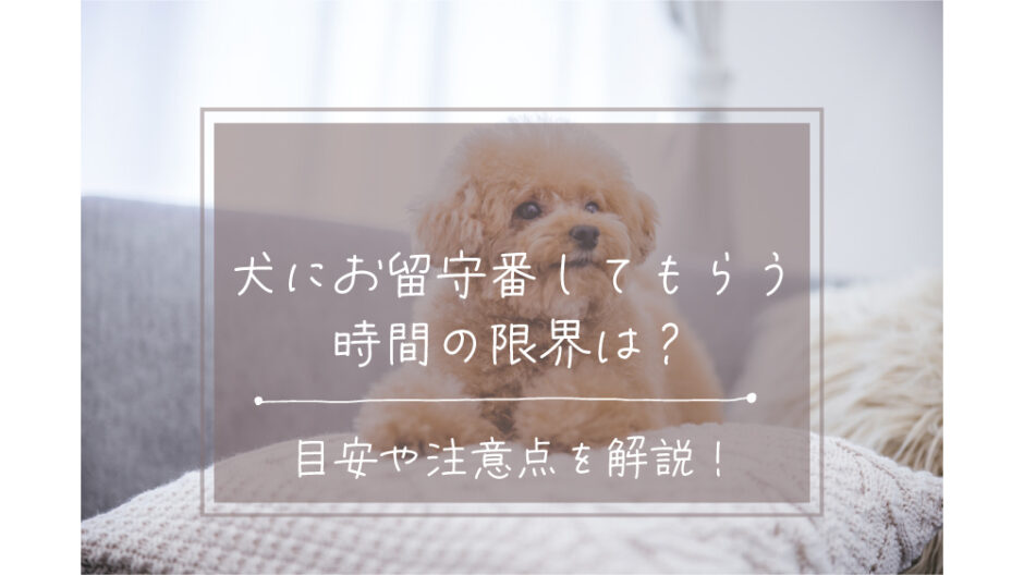 犬　お留守番　時間