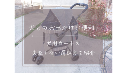 犬とのお出かけに便利！犬用カートの失敗しない選び方を紹介