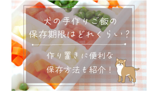 犬の手作りご飯の保存期間はどれくらい？作り置きに便利な保存方法も紹介！