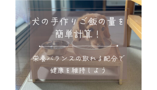 犬の手作りご飯の量を簡単計算