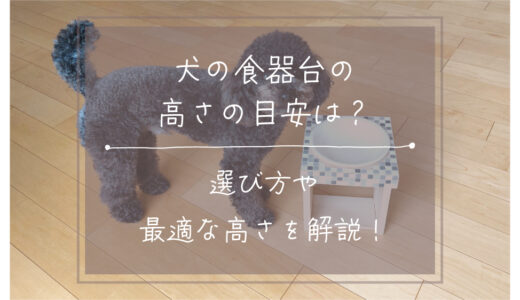 犬の食器台の高さの目安は？選び方や最適な高さを解説！