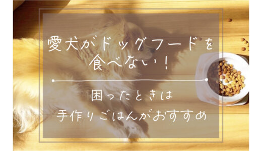 愛犬がドッグフードを食べない！困ったときは手作りごはんがおすすめ