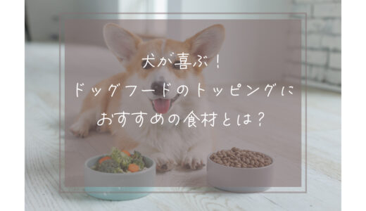 犬が喜ぶ！ドッグフードのトッピングにおすすめの食材とは？